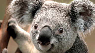 v test 22