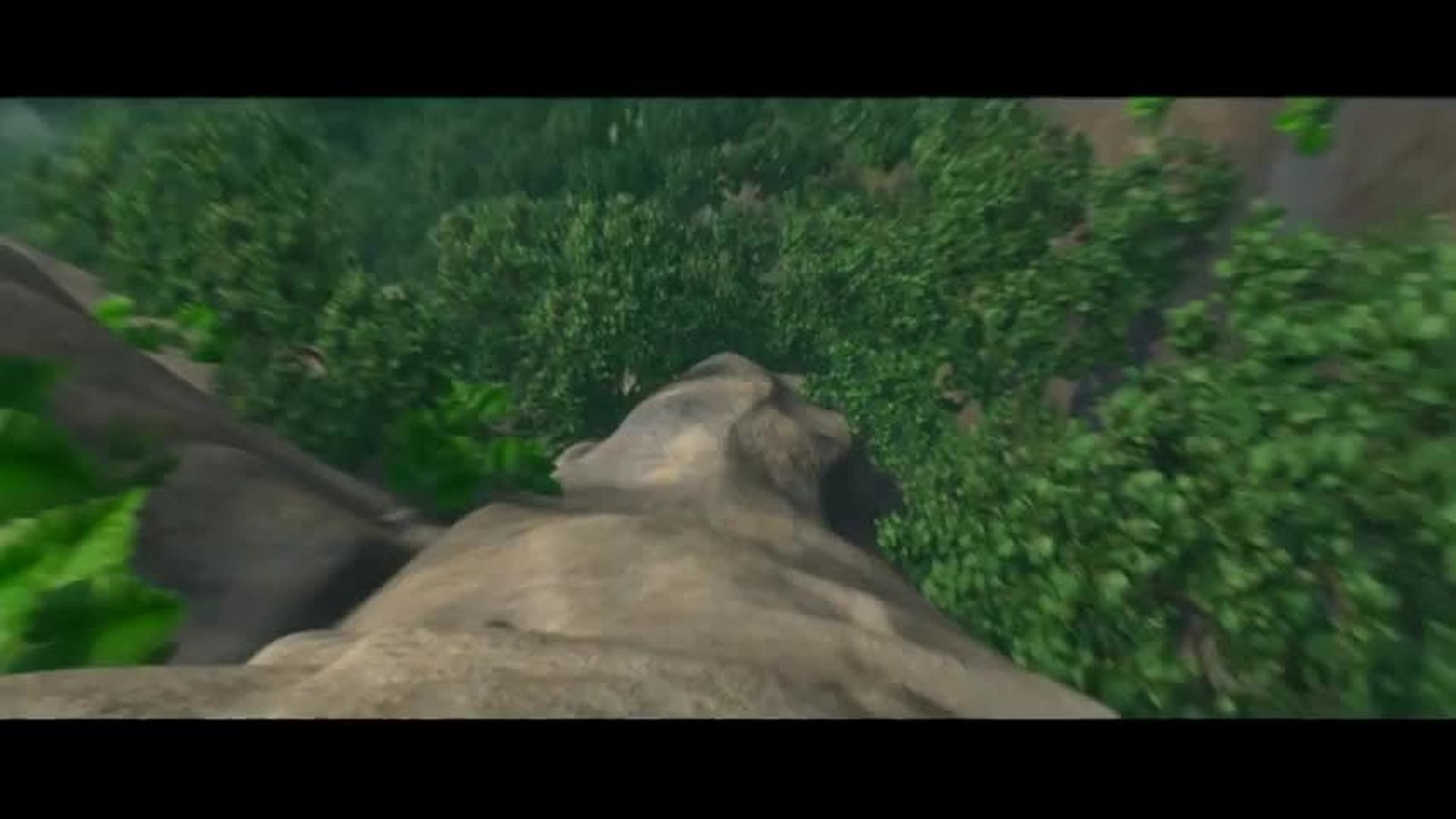 Rio 7